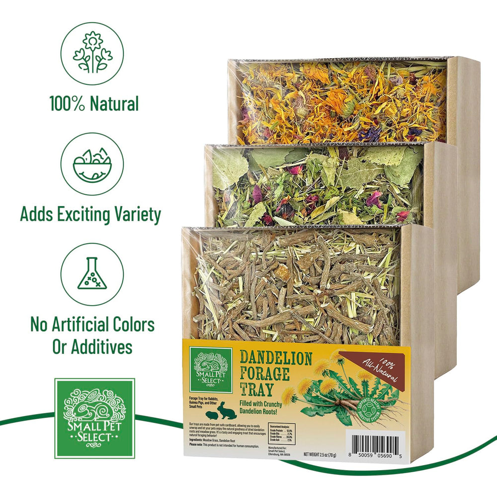 Small Pet Select forage tray bundle dandelion mix displayed for wholesome, earthy snacking.