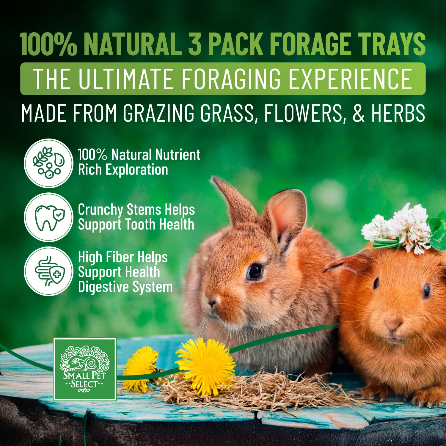 Small Pet Select forage tray bundle flower mix shown, offering aromatic variety for small pets.