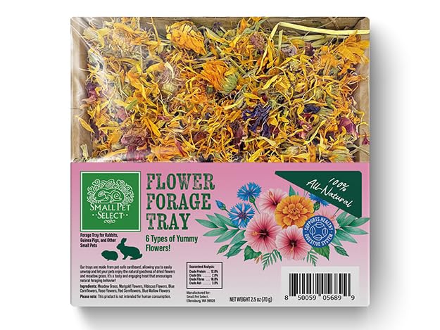 Small Pet Select forage tray bundle foraging time visual, pets explore herbs and flowers.