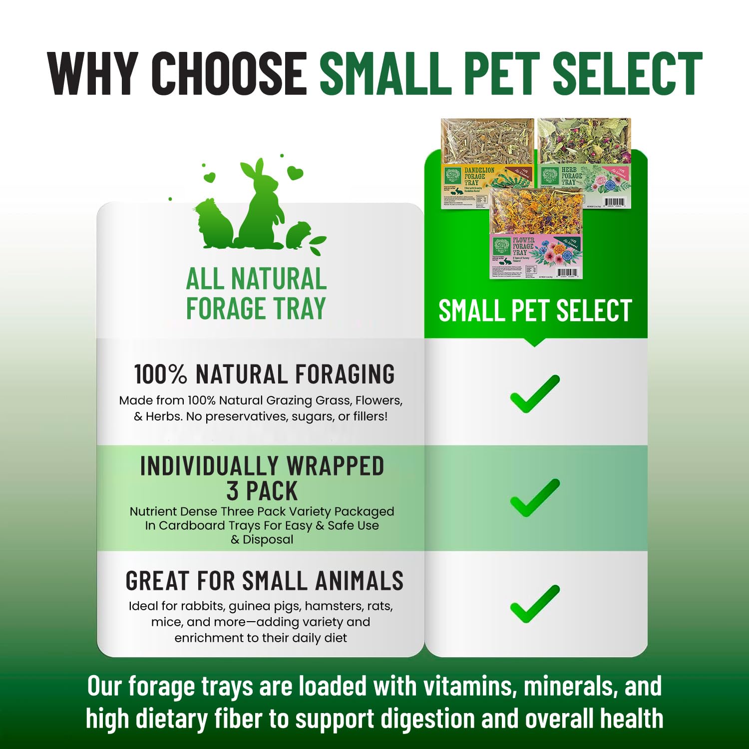 Small Pet Select forage tray bundle in habitat promotes easy daily enrichment for small pets.