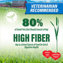 Small Pet Select hand-packed hay demonstrates care and freshness
