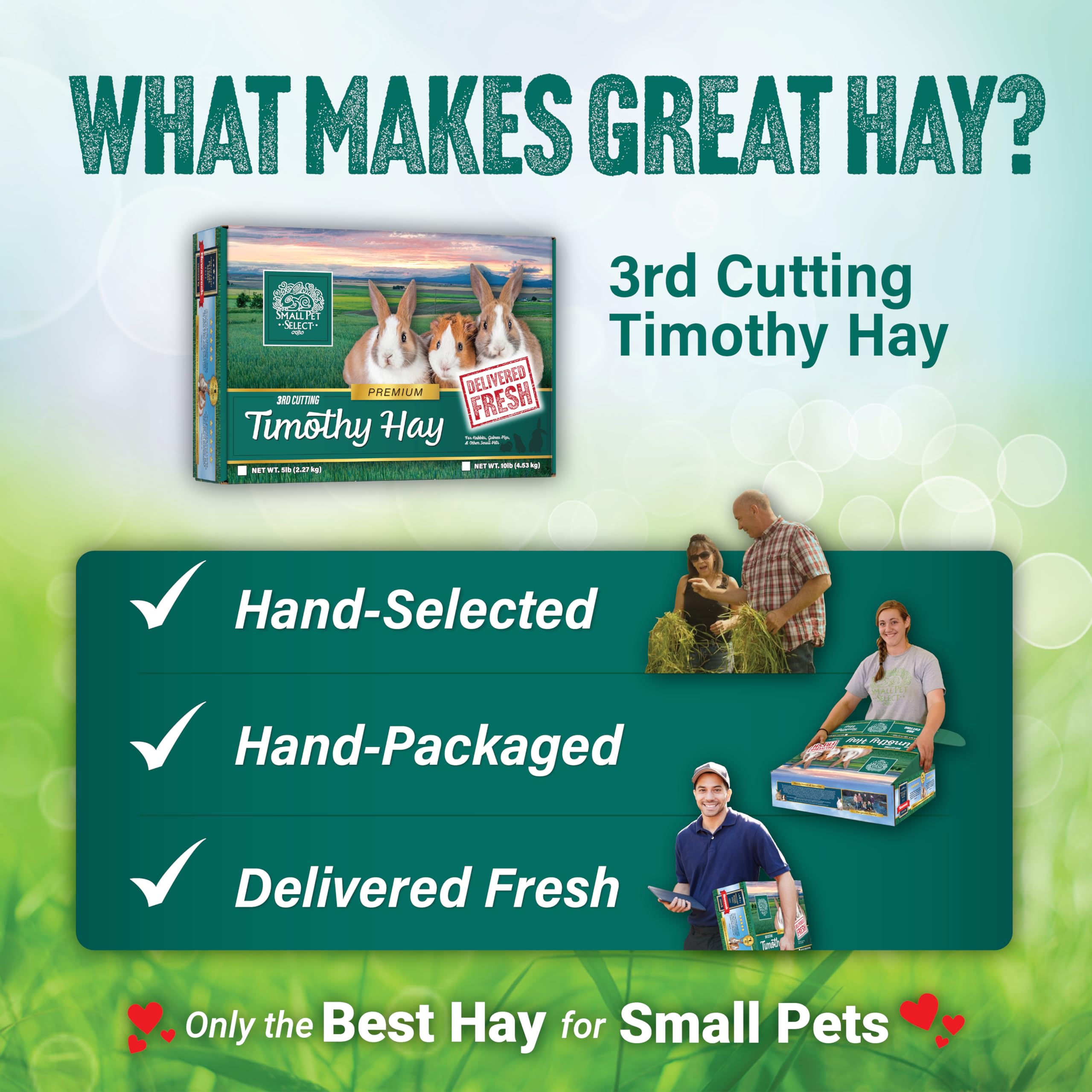Small Pet Select 3rd Cutting Timothy Hay helps natural dental wear during daily meals.