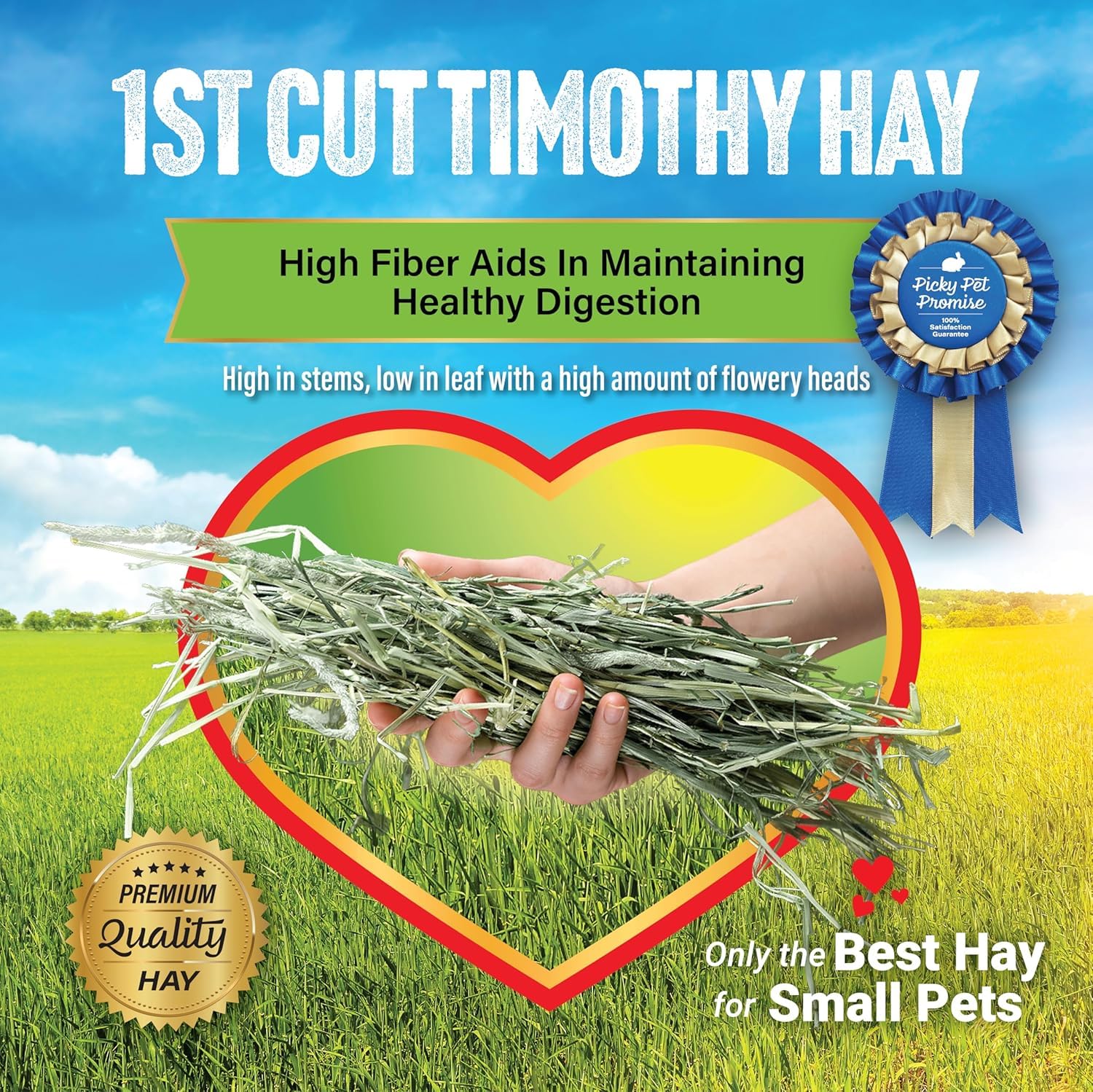 Small Pet Select bedding hay scene evokes cozy, fresh-smelling nesting