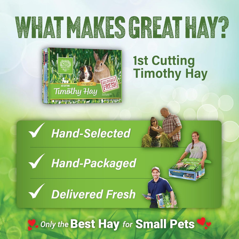 Small Pet Select hay close-up shows fiber-rich stems for dental wear