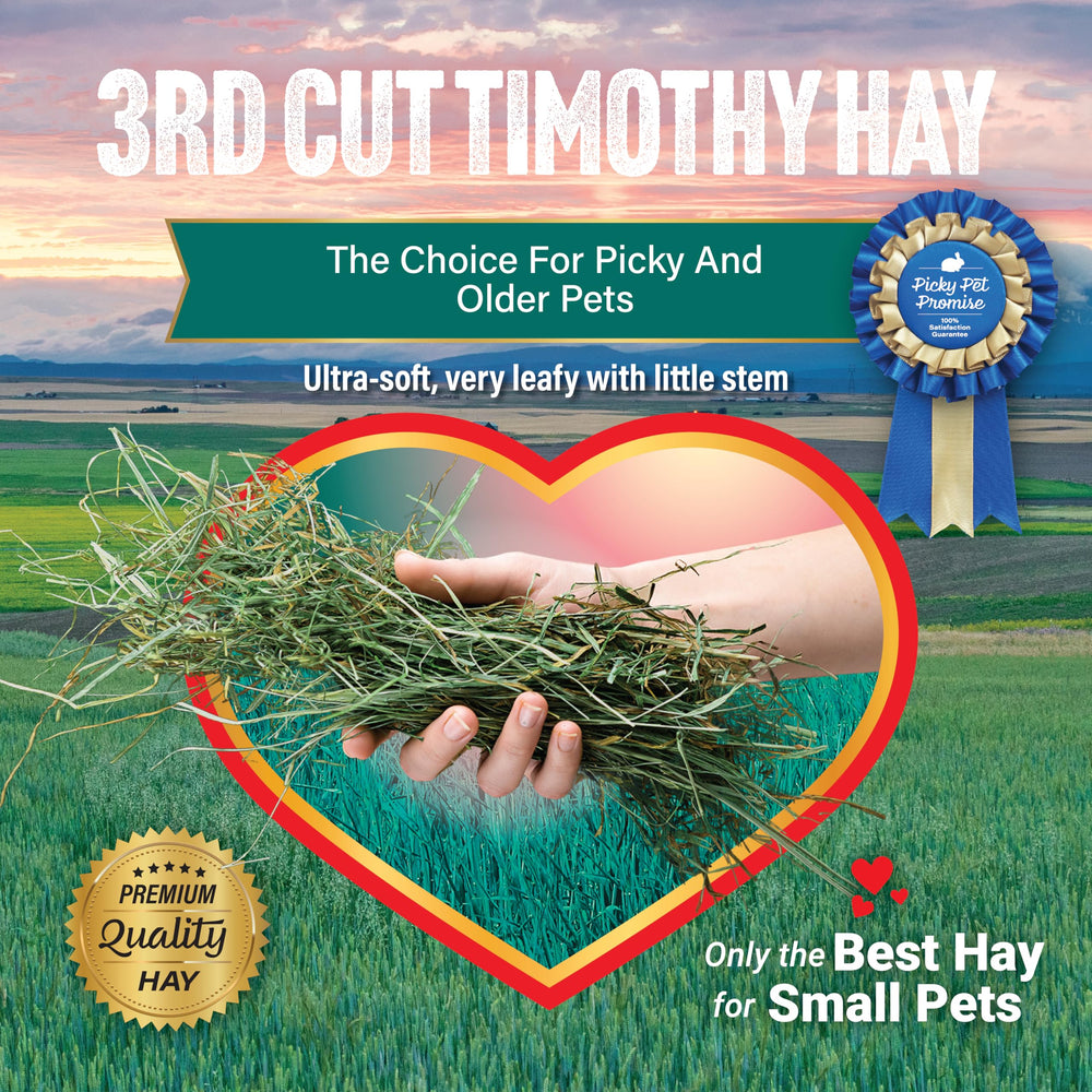 Small Pet Select Hay for Fussy Eaters; soft texture encourages trial.