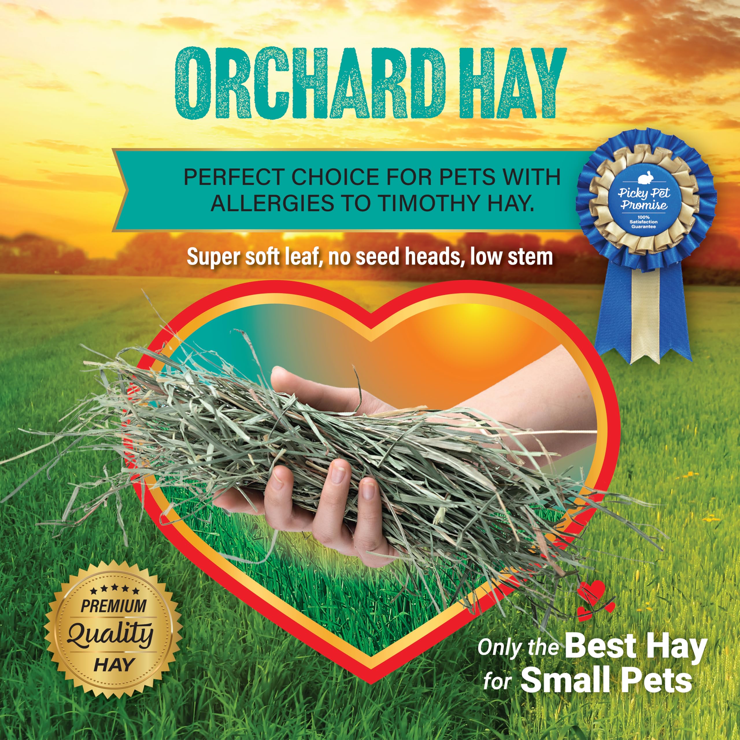 Small Pet Select hay in a strong box stores easily after delivery.