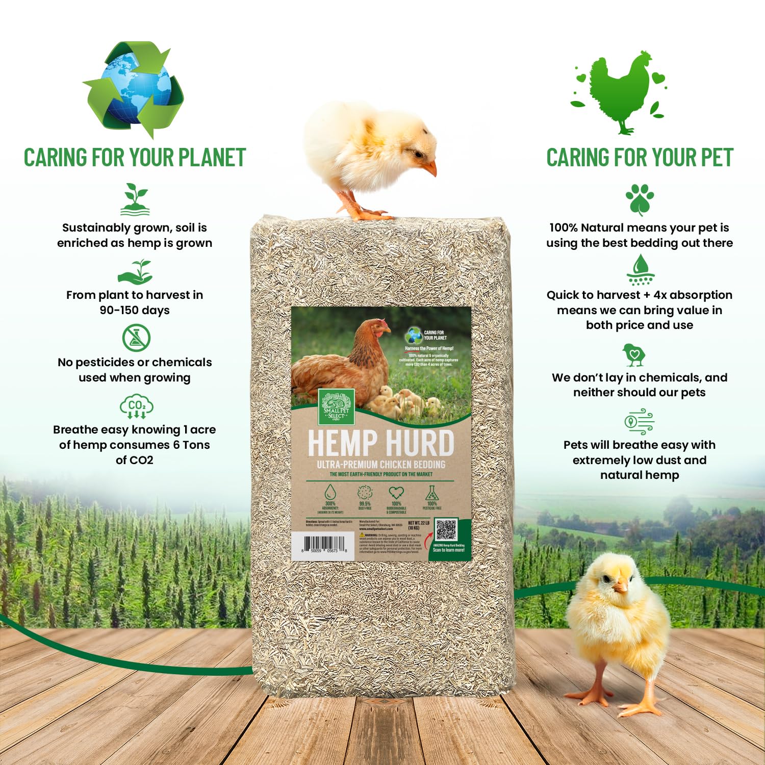 Small Pet Select hemp hurd bedding reduces odors in poultry coop.