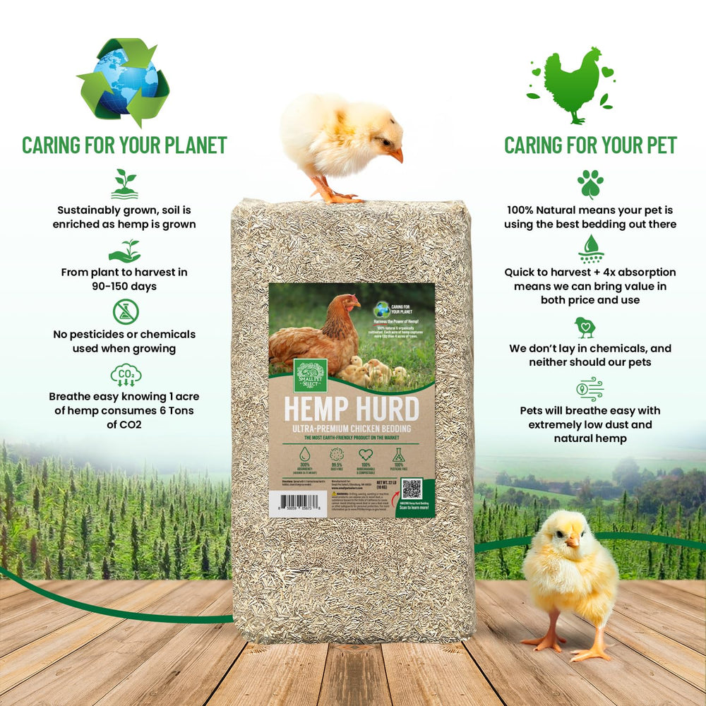 Small Pet Select hemp hurd bedding reduces odors in poultry coop.