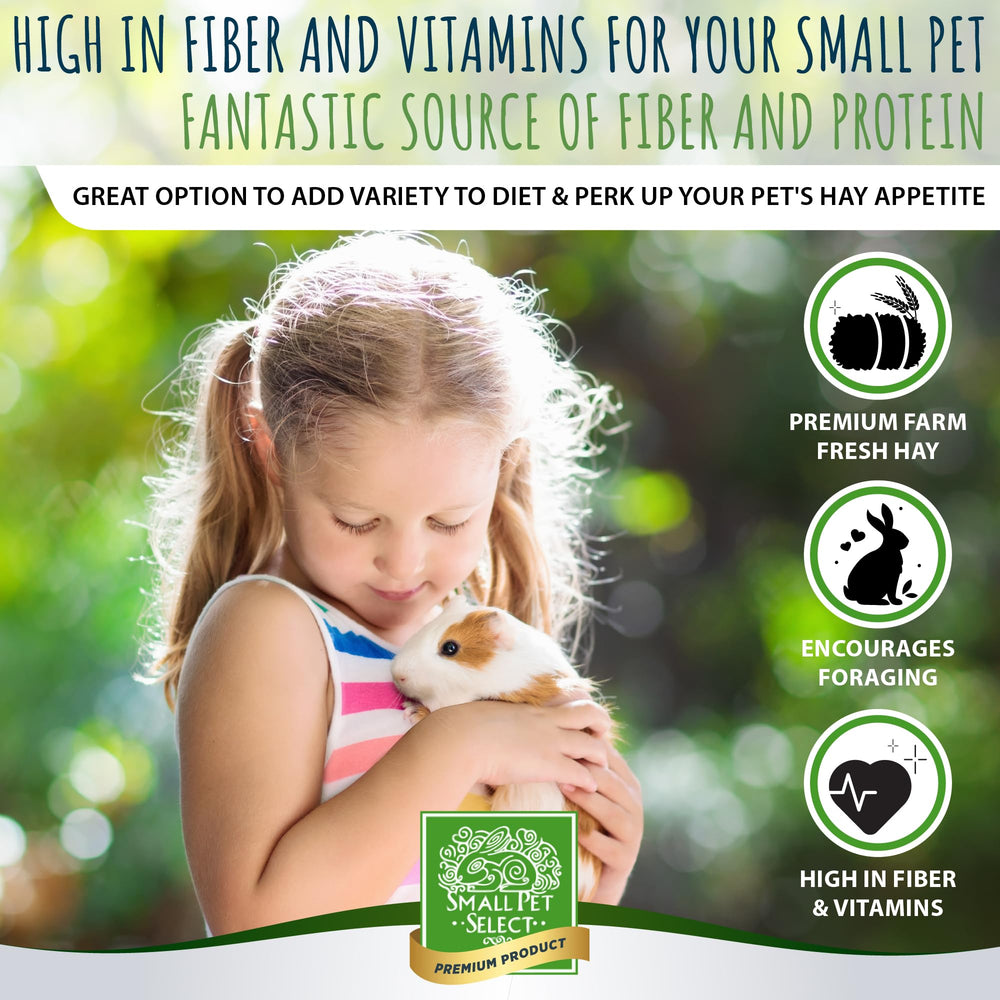 Small Pet Select herb and flower blend close-up with fragrant aromas.