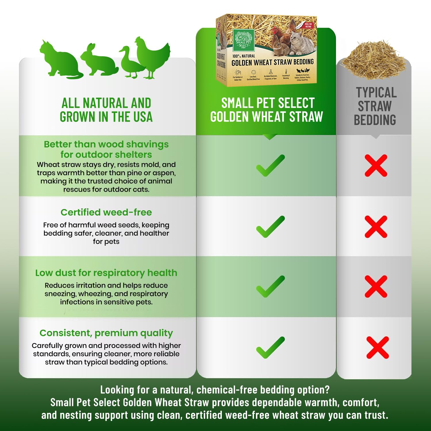 Small Pet Select ideal setup with bedding ready for use