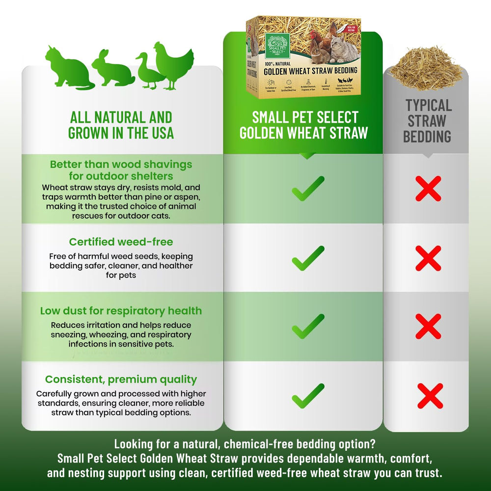 Small Pet Select ideal setup with bedding ready for use