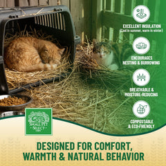 Small Pet Select low-dust weed-free bedding for cleaner habitats