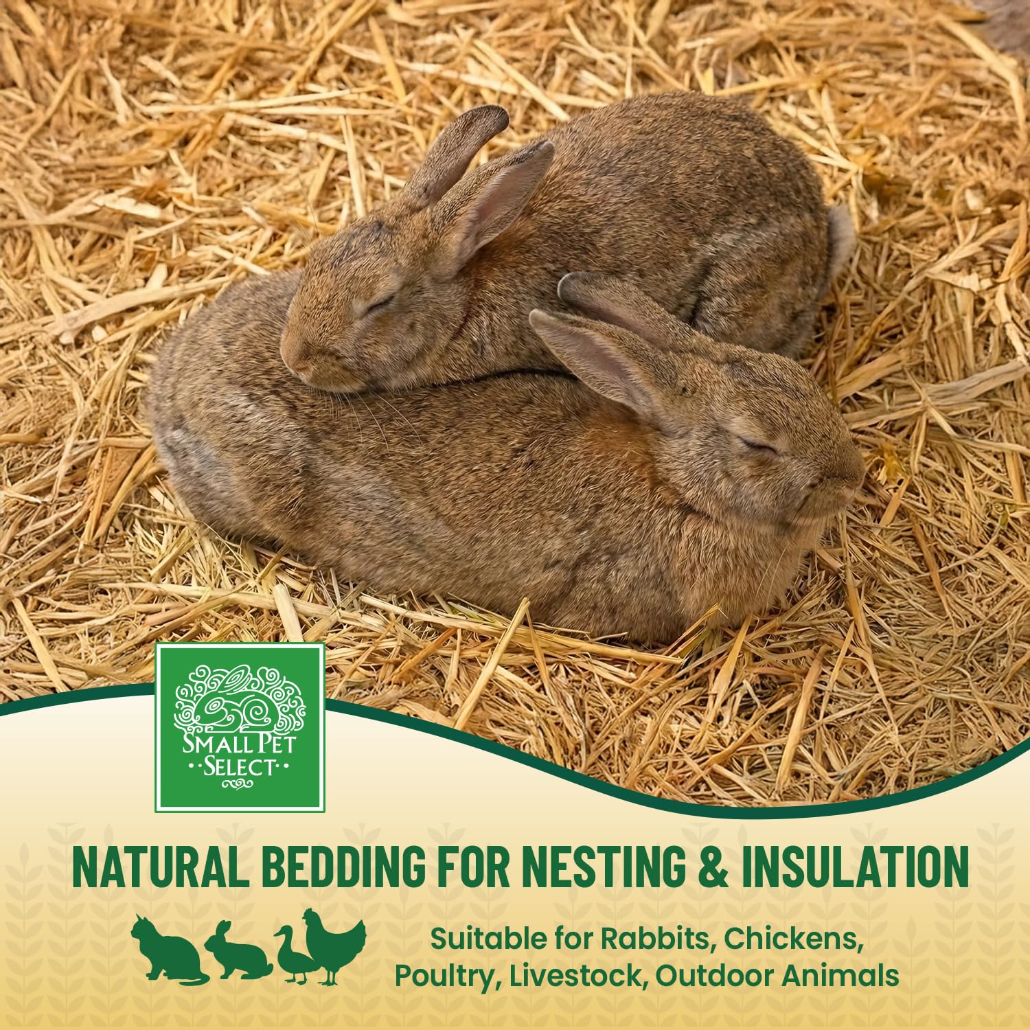Small Pet Select nesting with bedding supports cozy burrowing and resting