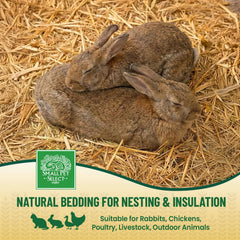 Small Pet Select nesting with bedding supports cozy burrowing and resting