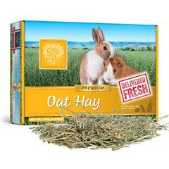 Small Pet Select oat hay 10lb bag shown, fresh and versatile for varied textures.