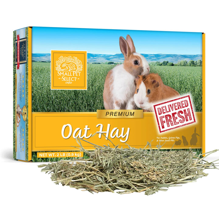 Small Pet Select Oat Hay bale closeup showing premium fibers for rabbits and guinea pigs