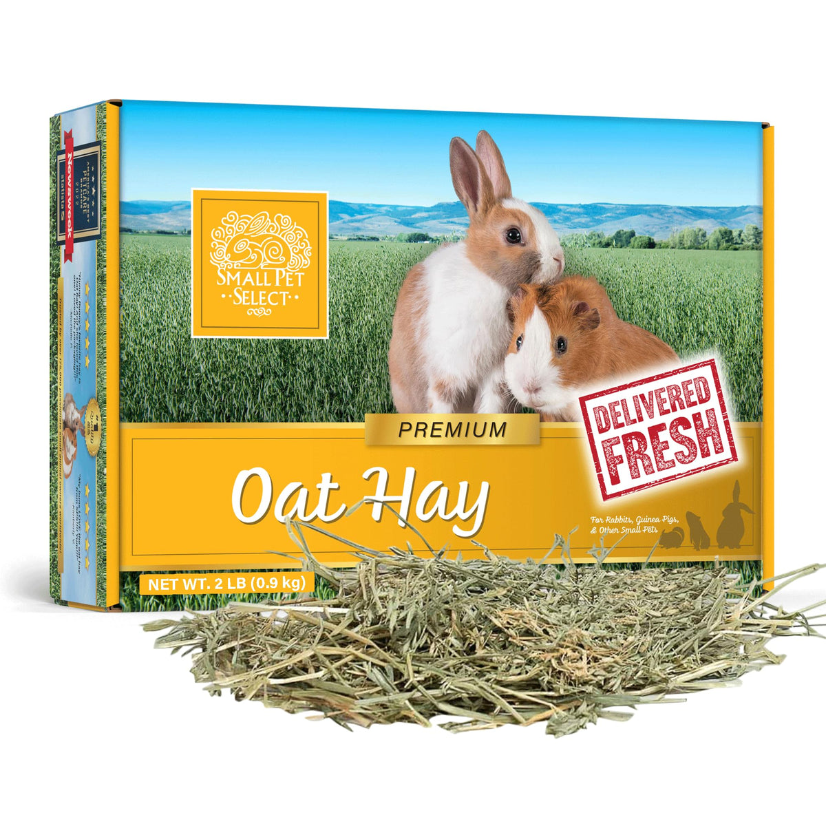 Small Pet Select Oat Hay bale closeup showing premium fibers for rabbits and guinea pigs