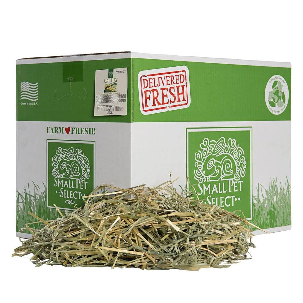 Small Pet Select oat hay bundle, fresh variety to engage small pets.