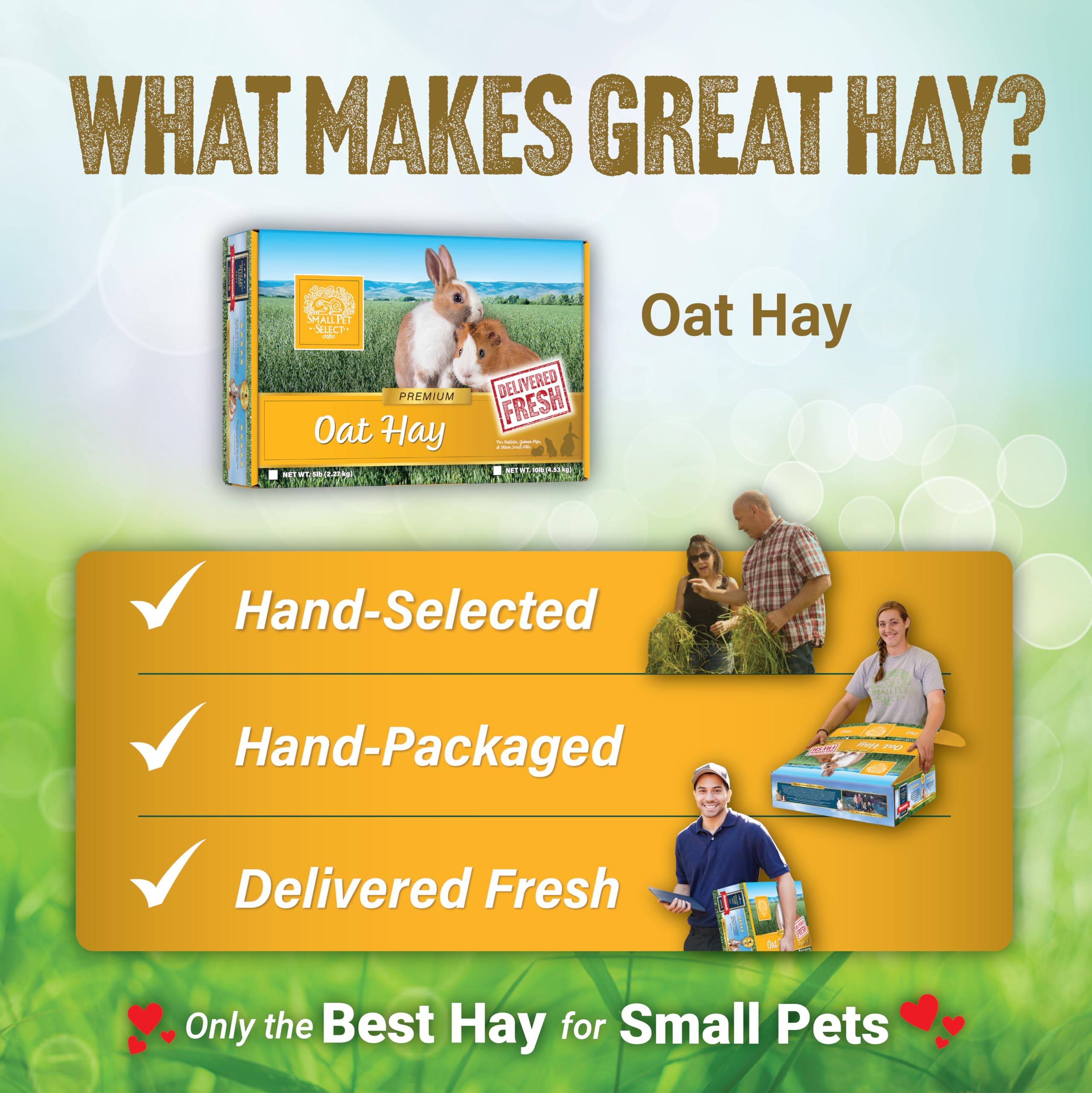 Small Pet Select oat hay crisp texture appeals to nibblers.