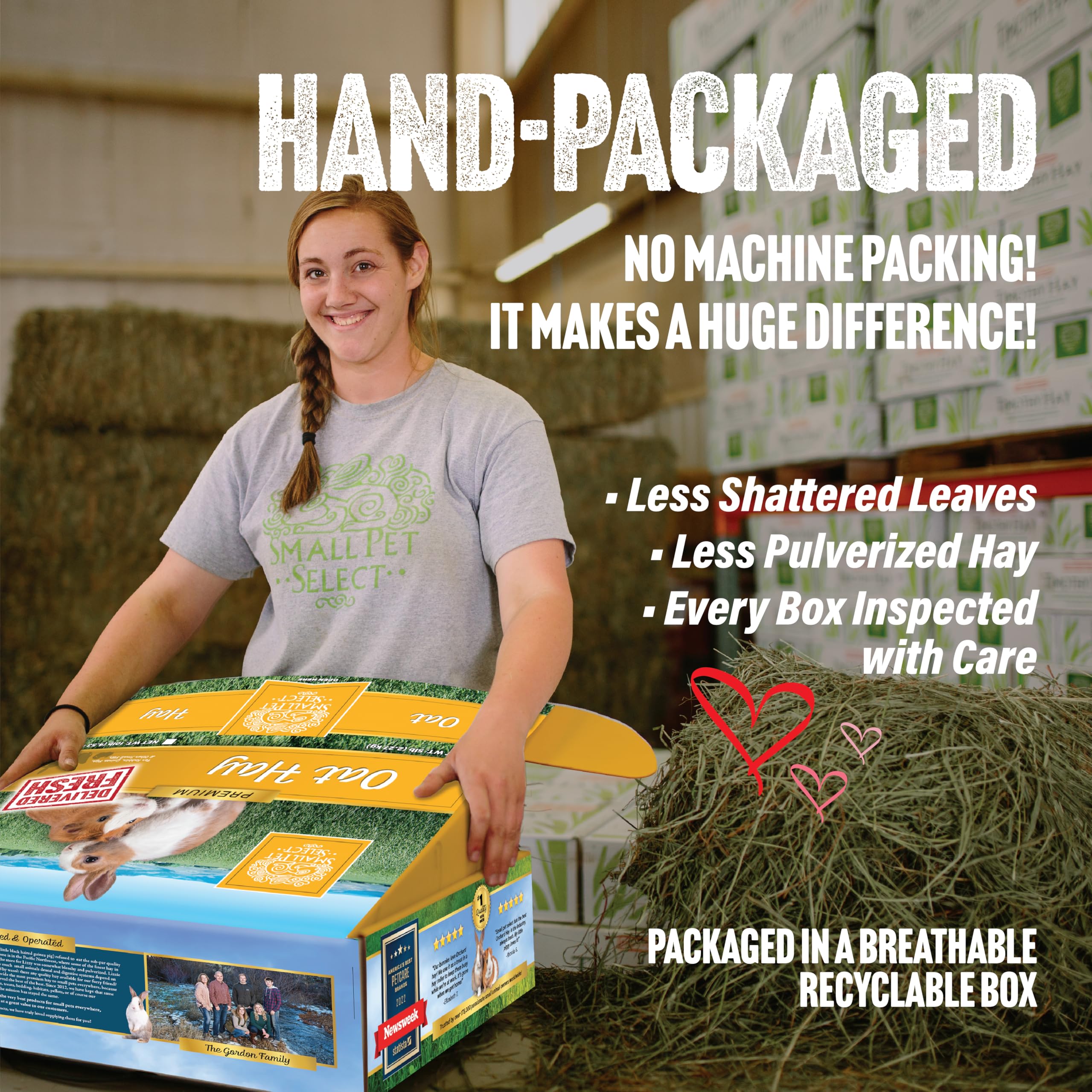 Small Pet Select Oat Hay in feeder, crunchy texture for dental wear.