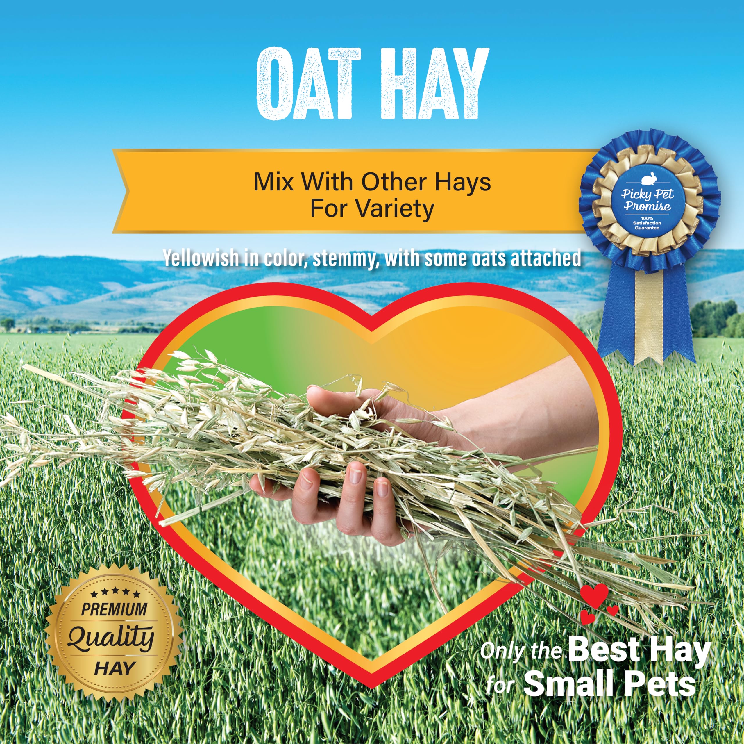Small Pet Select Oat Hay packaged in small batches, delivered fresh.