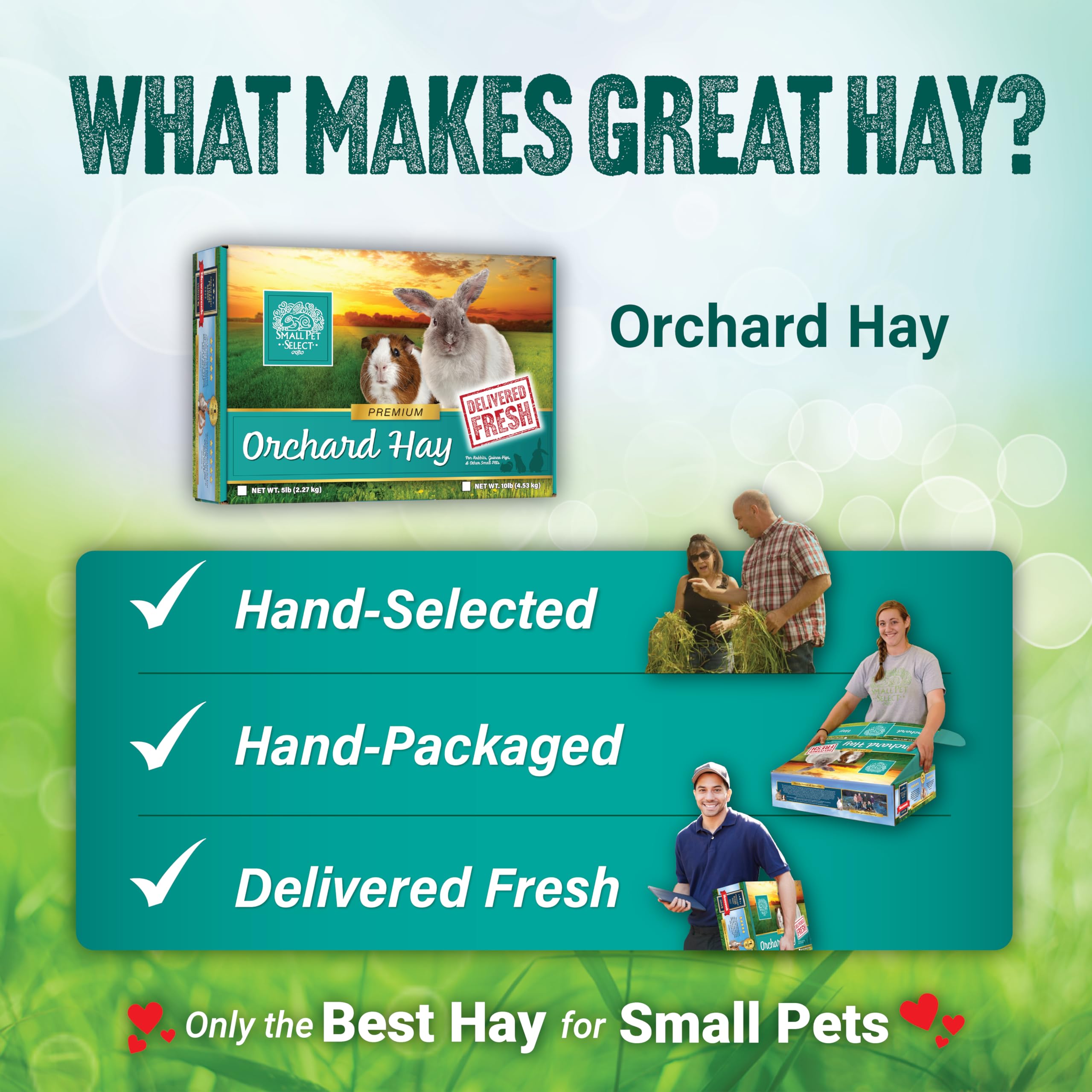 Small Pet Select orchard grass hay ready to feed boosts daily munching.