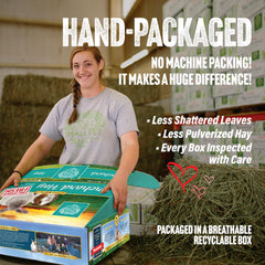 Small Pet Select Orchard Grass Hay packaged in eco-friendly corrugated box for storage