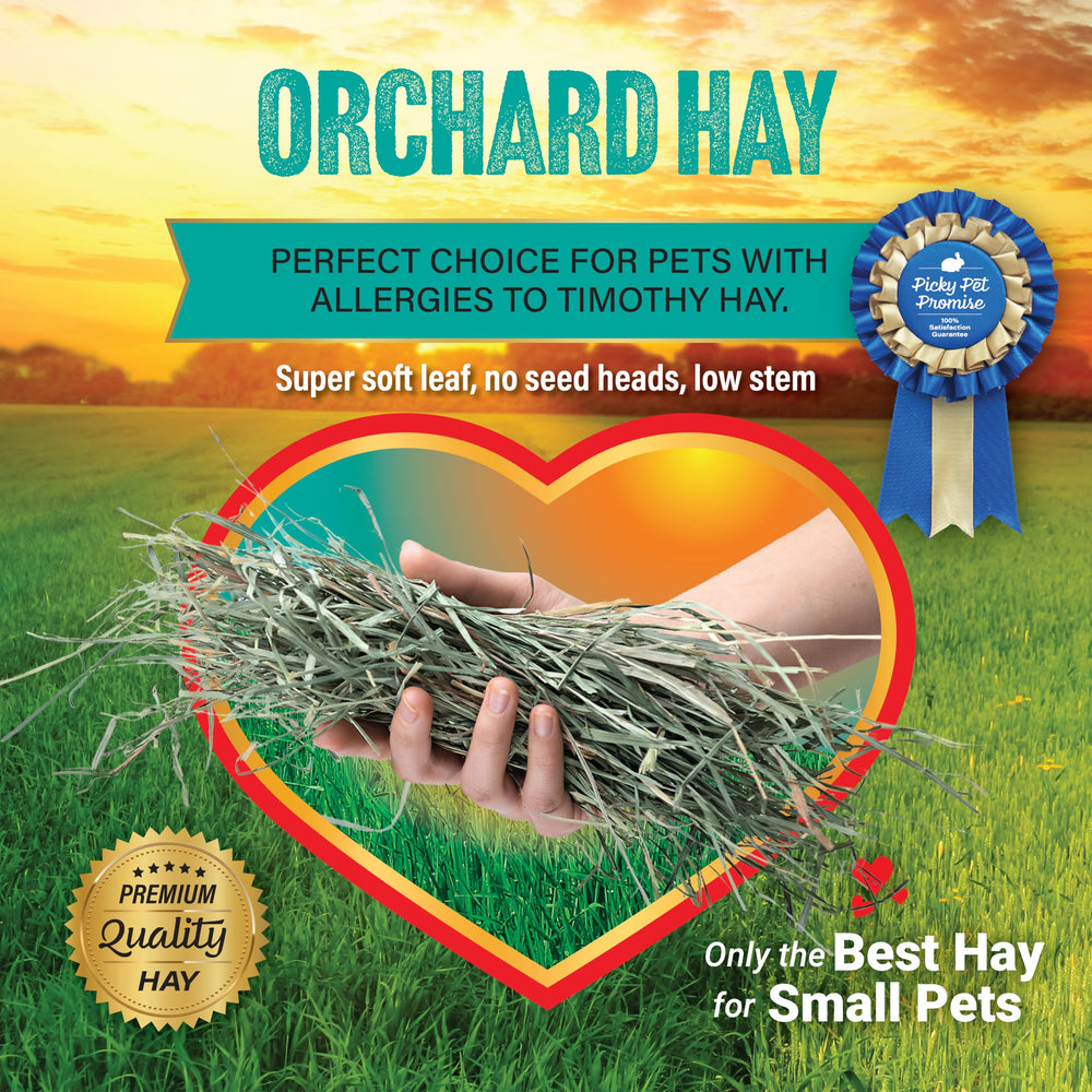 Low-dust orchard hay with minimal stems and seeds for gentle chewing