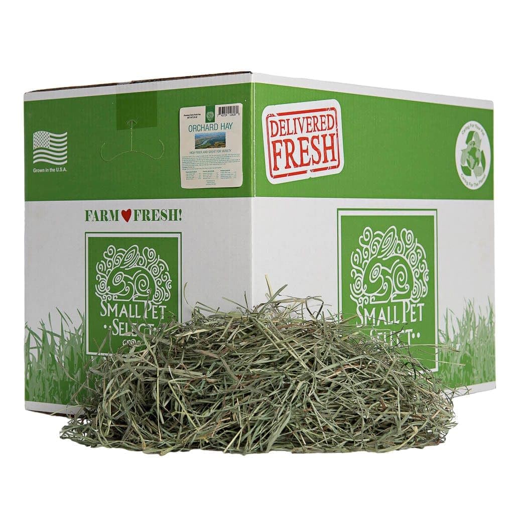 Small Pet Select orchard hay for rabbits, fresh and green to support daily feeding.