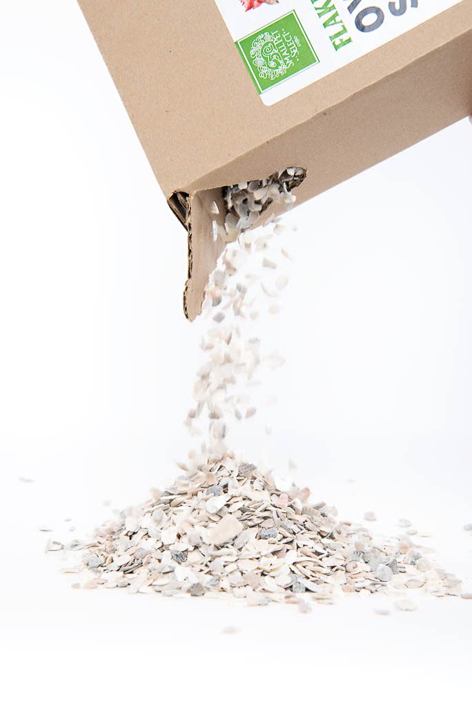Small Pet Select outdoor coop feeding dish highlights easy calcium access for healthier plumage.