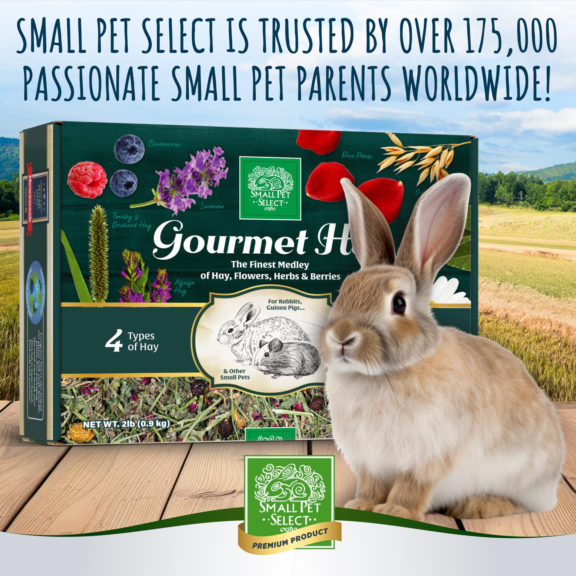 Small Pet Select pet enjoying gourmet hay variety meal.