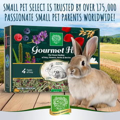 Small Pet Select pet enjoying gourmet hay variety meal.
