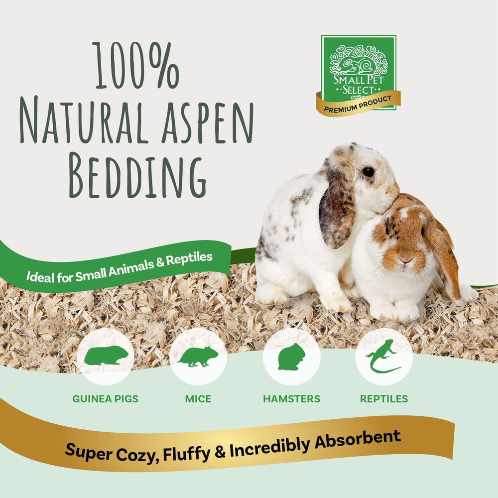 Small Pet Select premium aspen bedding shavings closeup highlighting natural heat-dried texture for odor control.