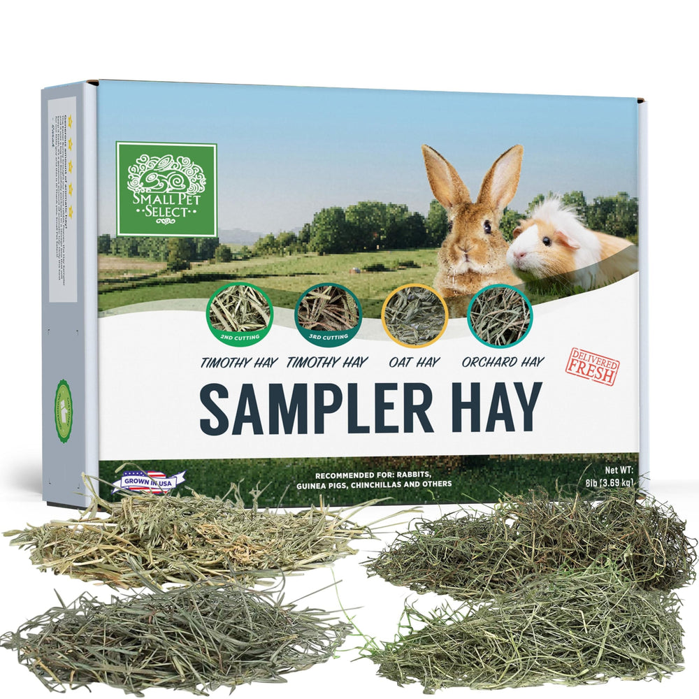 Small Pet Select sampler box 2nd cutting Timothy hay image, ideal for adult rabbits and guinea pigs