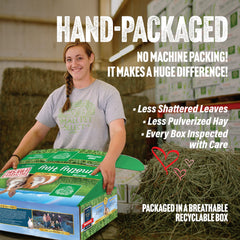 Small Pet Select Timothy Hay aroma encourages natural foraging and activity in small pets.