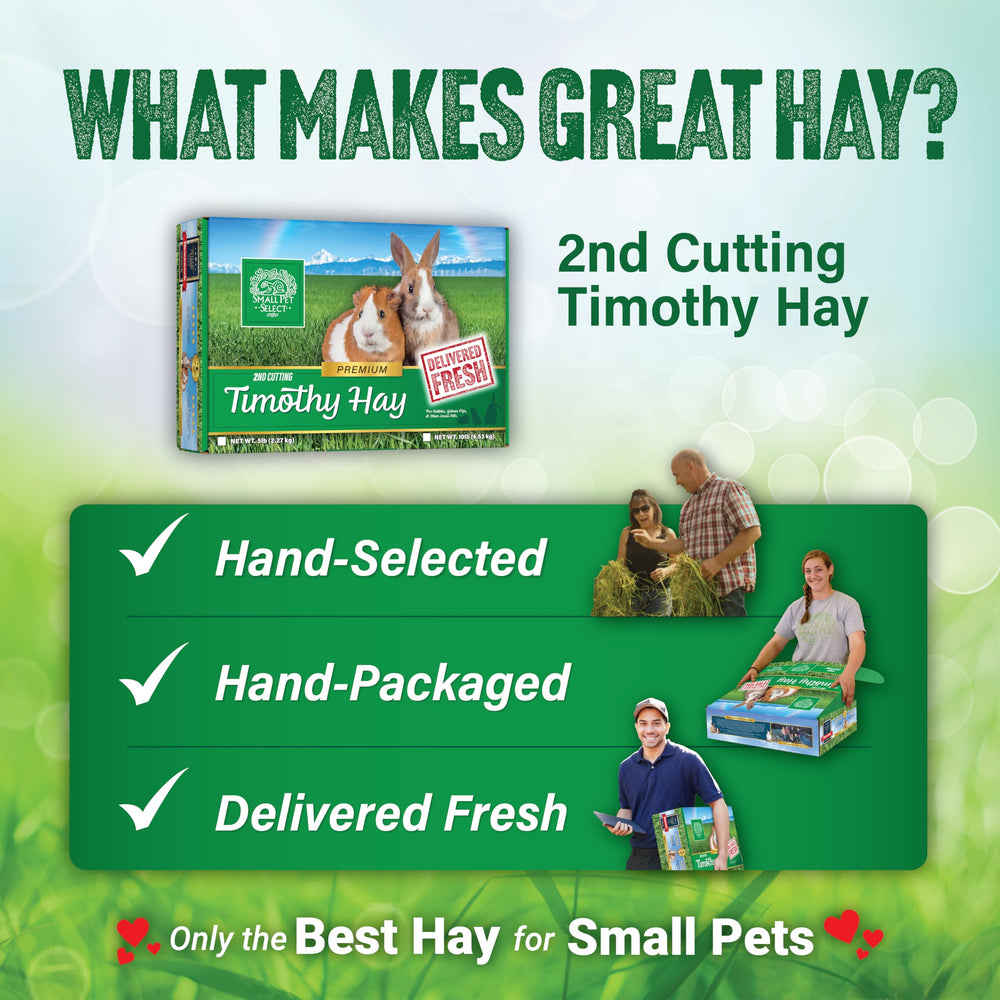 Small Pet Select hay bedding for small animals provides a cozy, aromatic nesting option