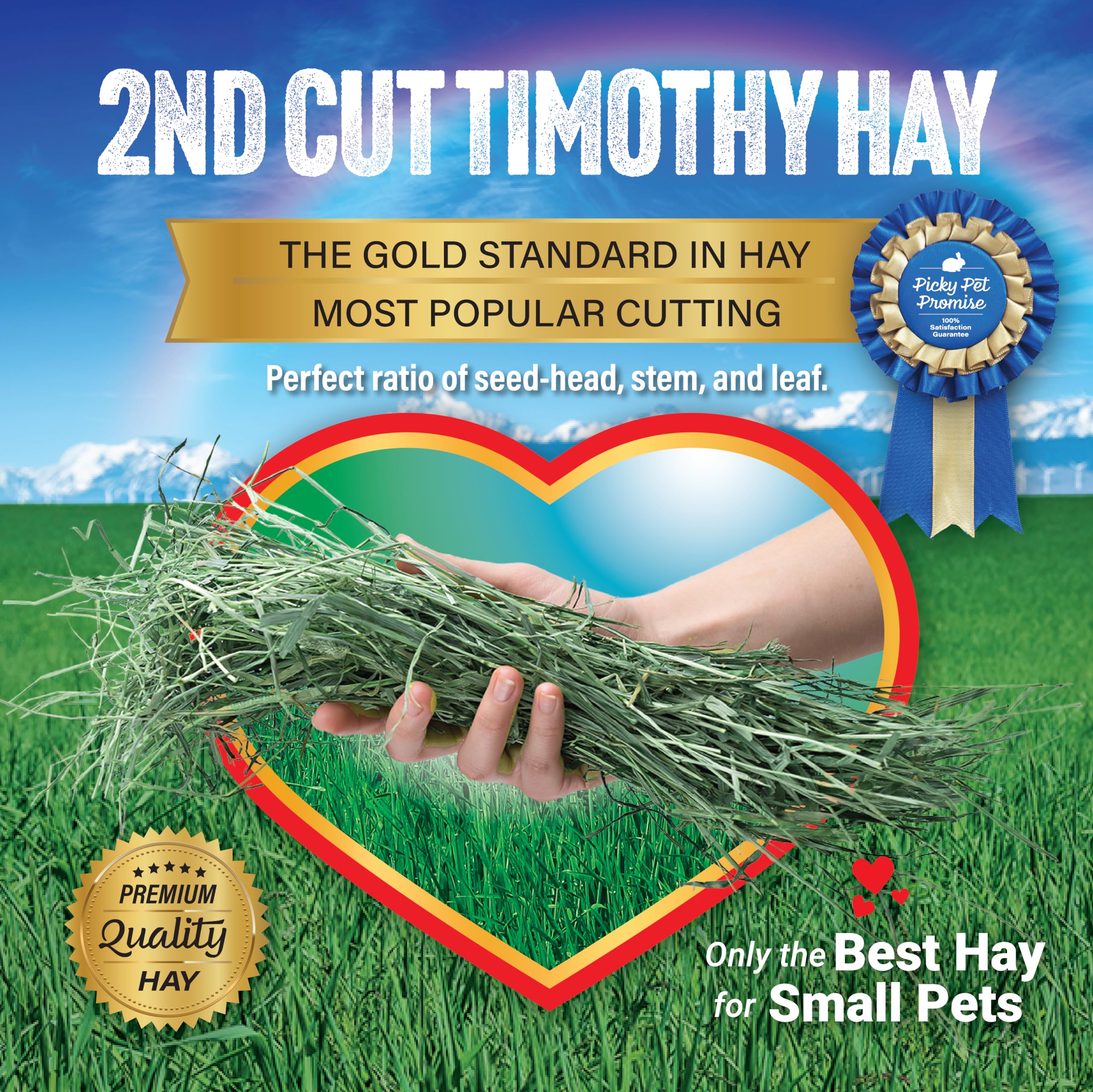 Small Pet Select Timothy Hay ideal for rabbits, guinea pigs, and chinchillas, supporting daily fiber intake.