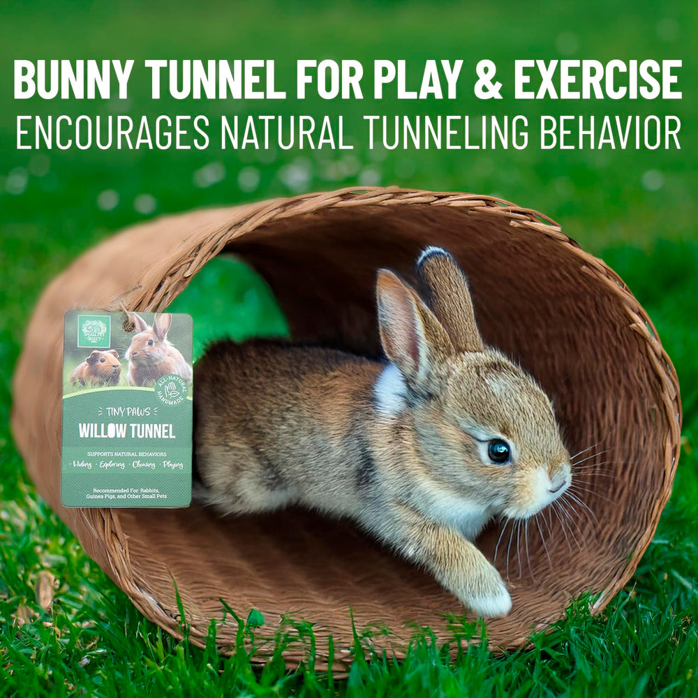 Small Pet Select Tiny Paws Jumbo Willow Tunnel cage-expen: versatile habitat for cages and play