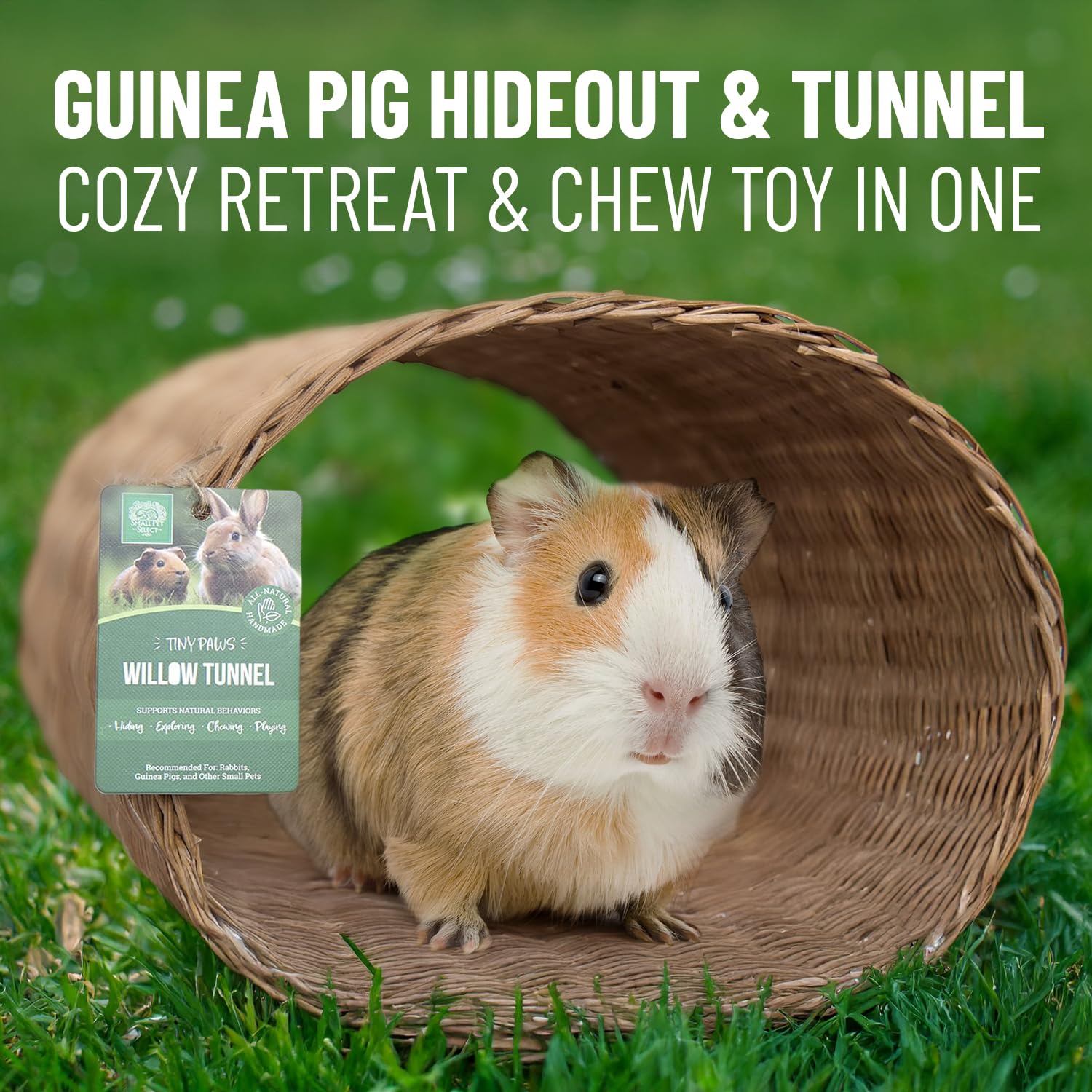 Small Pet Select Tiny Paws Jumbo Willow Tunnel dental-gnaw: supports natural tooth wear through gnawing