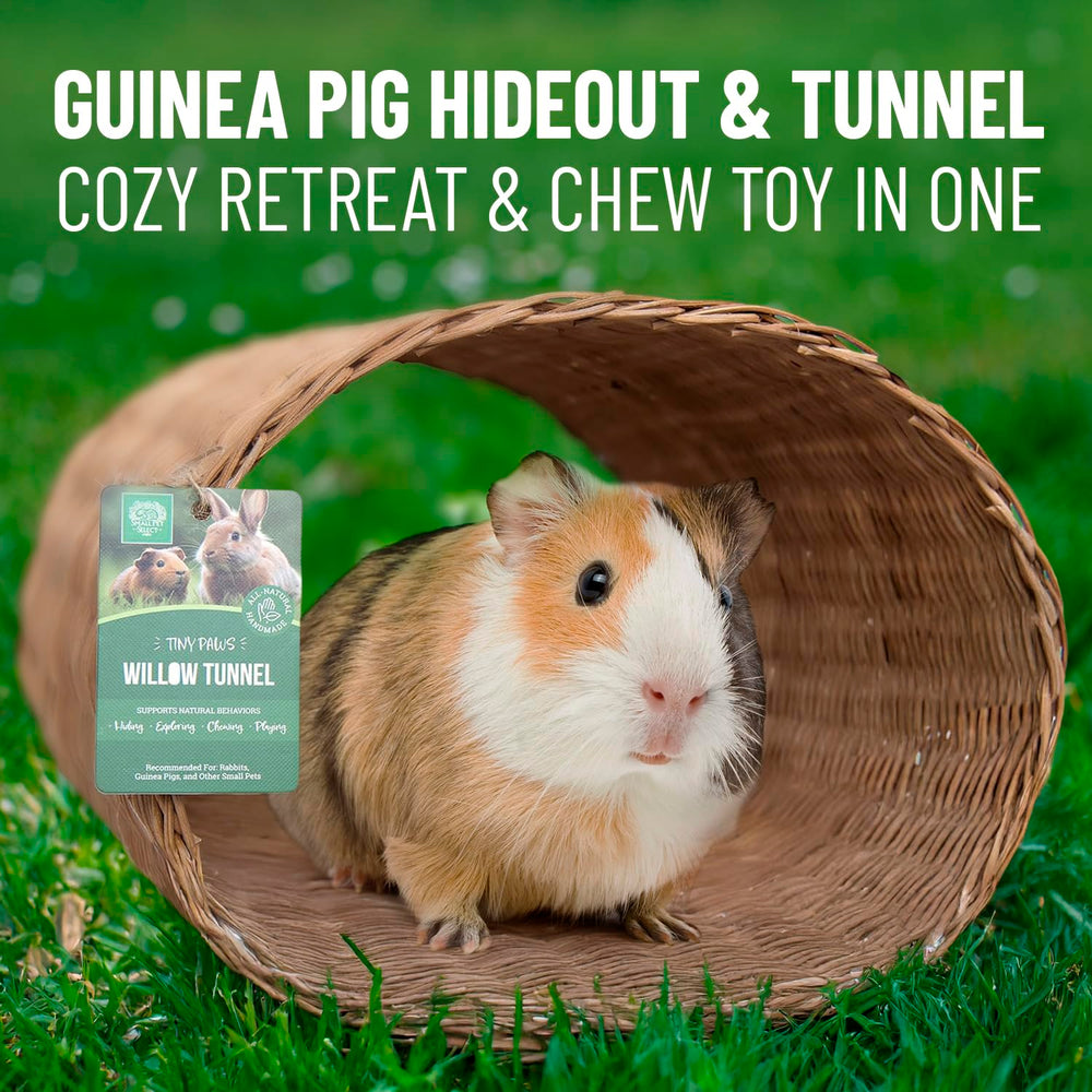 Small Pet Select Tiny Paws Jumbo Willow Tunnel dental-gnaw: supports natural tooth wear through gnawing