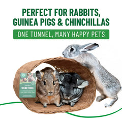 Small Pet Select Tiny Paws Jumbo Willow Tunnel enrichment: encourages exploration and mental engagement