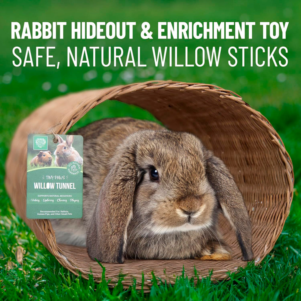 Small Pet Select Tiny Paws Jumbo Willow Tunnel playtime: ideal for lounging and quick peek-a-boo fun