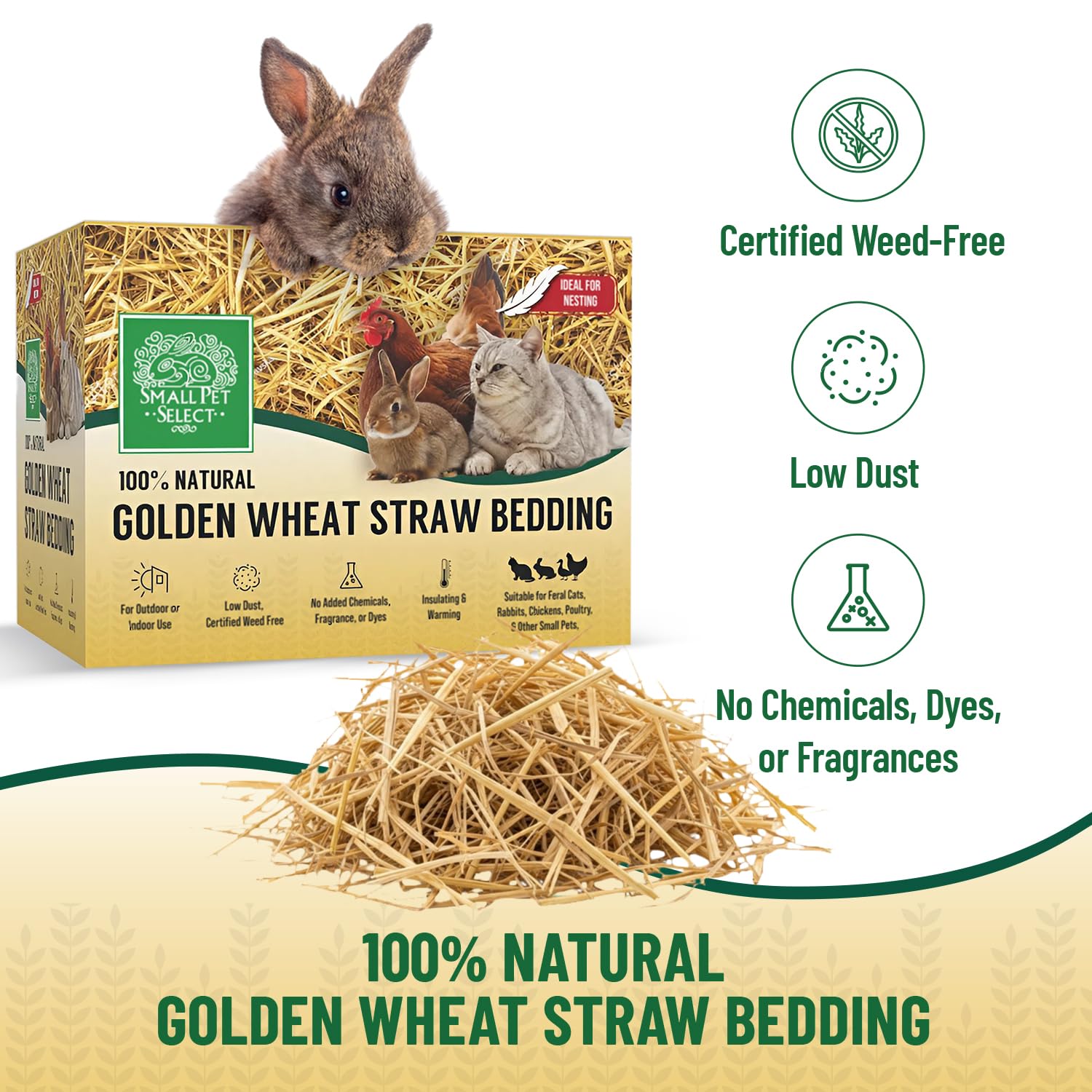 Small Pet Select wheat straw bedding in habitat demonstrates breathable comfort for daily living