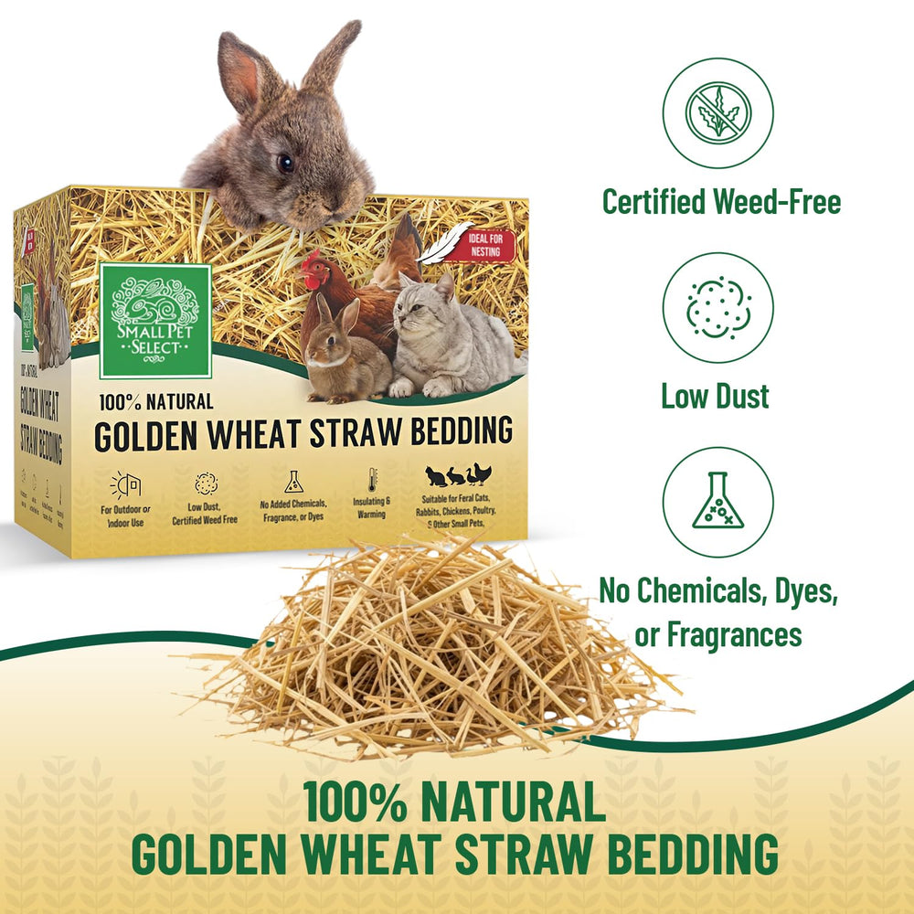 Small Pet Select wheat straw bedding in habitat demonstrates breathable comfort for daily living