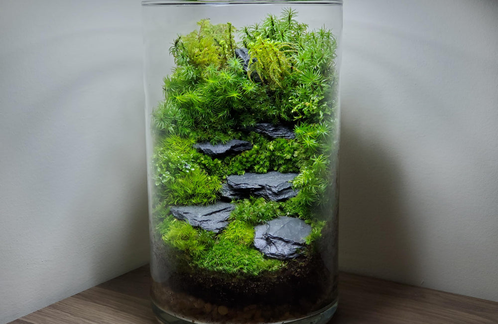Small World Slate & Stone reptile enclosure rocks provide heat-retentive relief