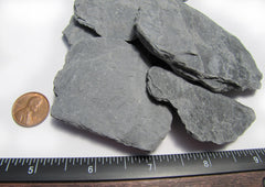 Small World Slate & Stone aquascape caves provide shelter and texture in terrariums.