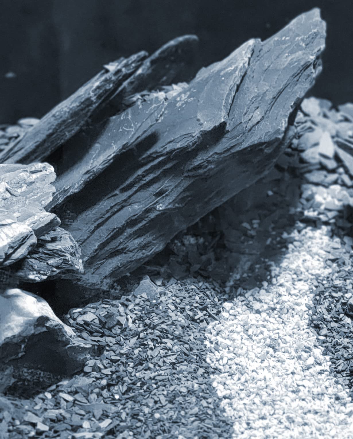 Close-up of silvery mica luster on deep grey slate for tanks.