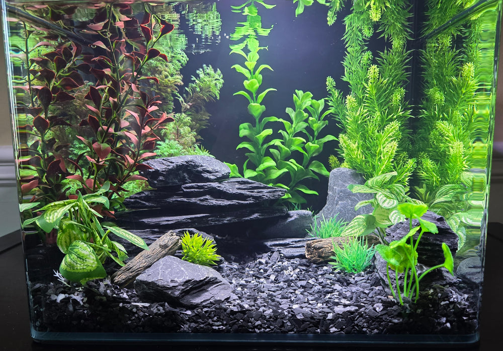 Small World Slate & Stone stones serve as reptile basking areas