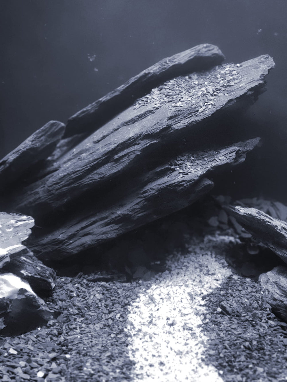 Paludarium setup using Small World slate stones for natural features