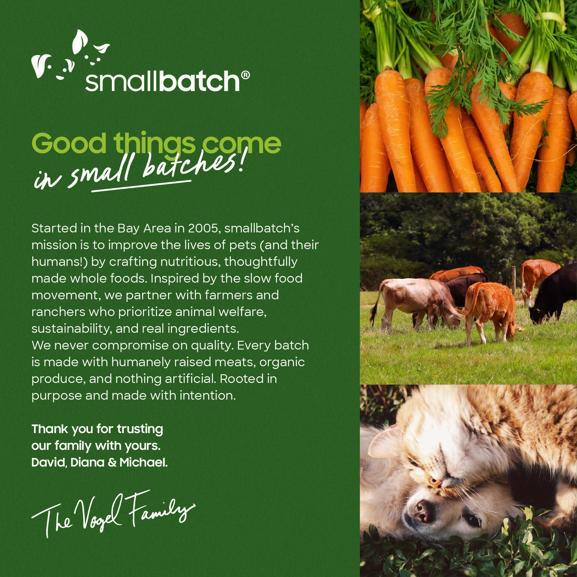 Smallbatch cat enjoying meal, happy feeding moment.